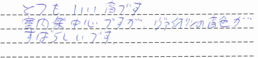 TRV-88SER Vintageのお客様の声7